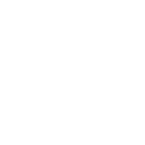 Dell Dell logo